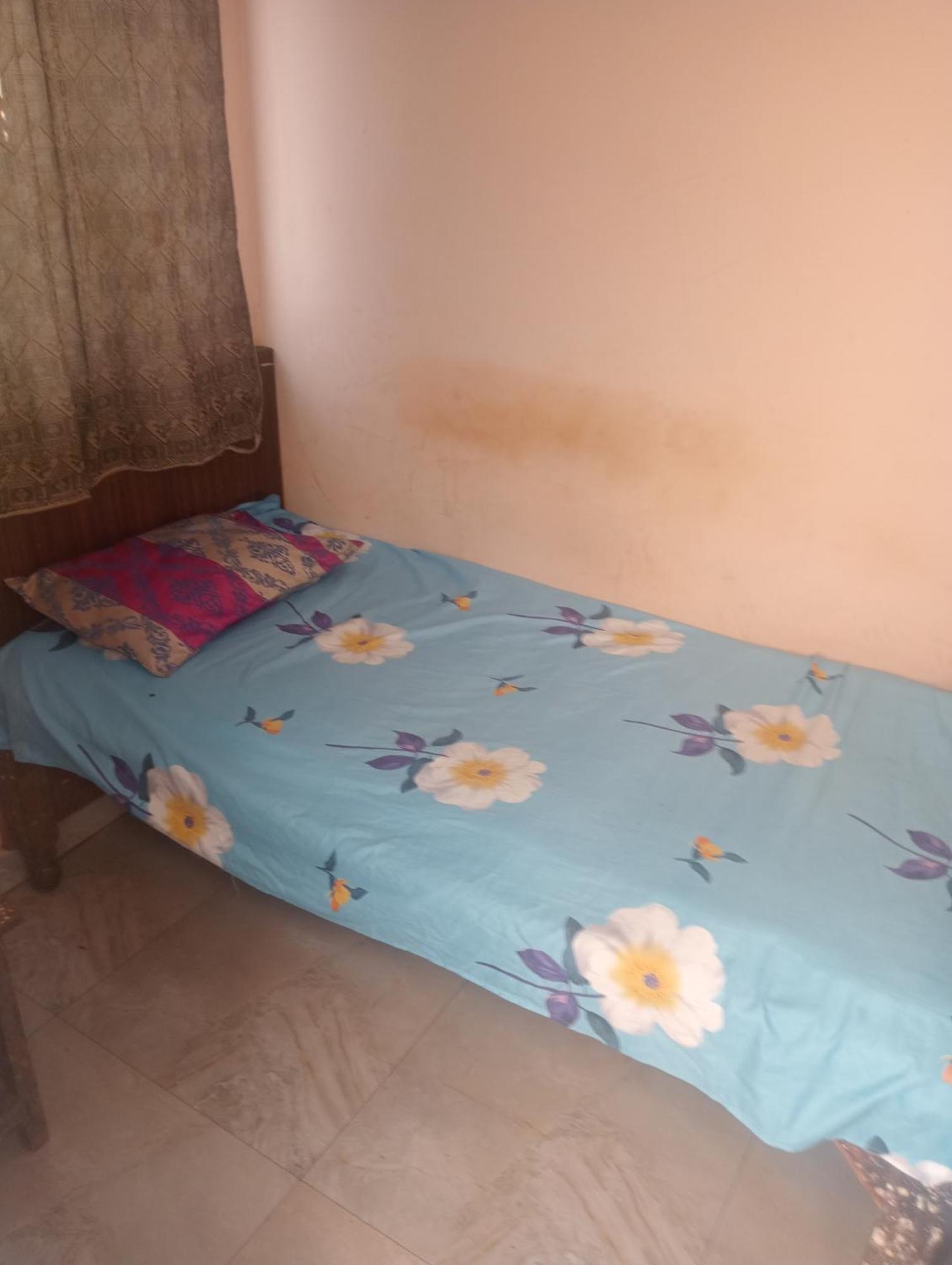 Ever Green Guest House Travel&PG New Delhi Eksteriør bilde