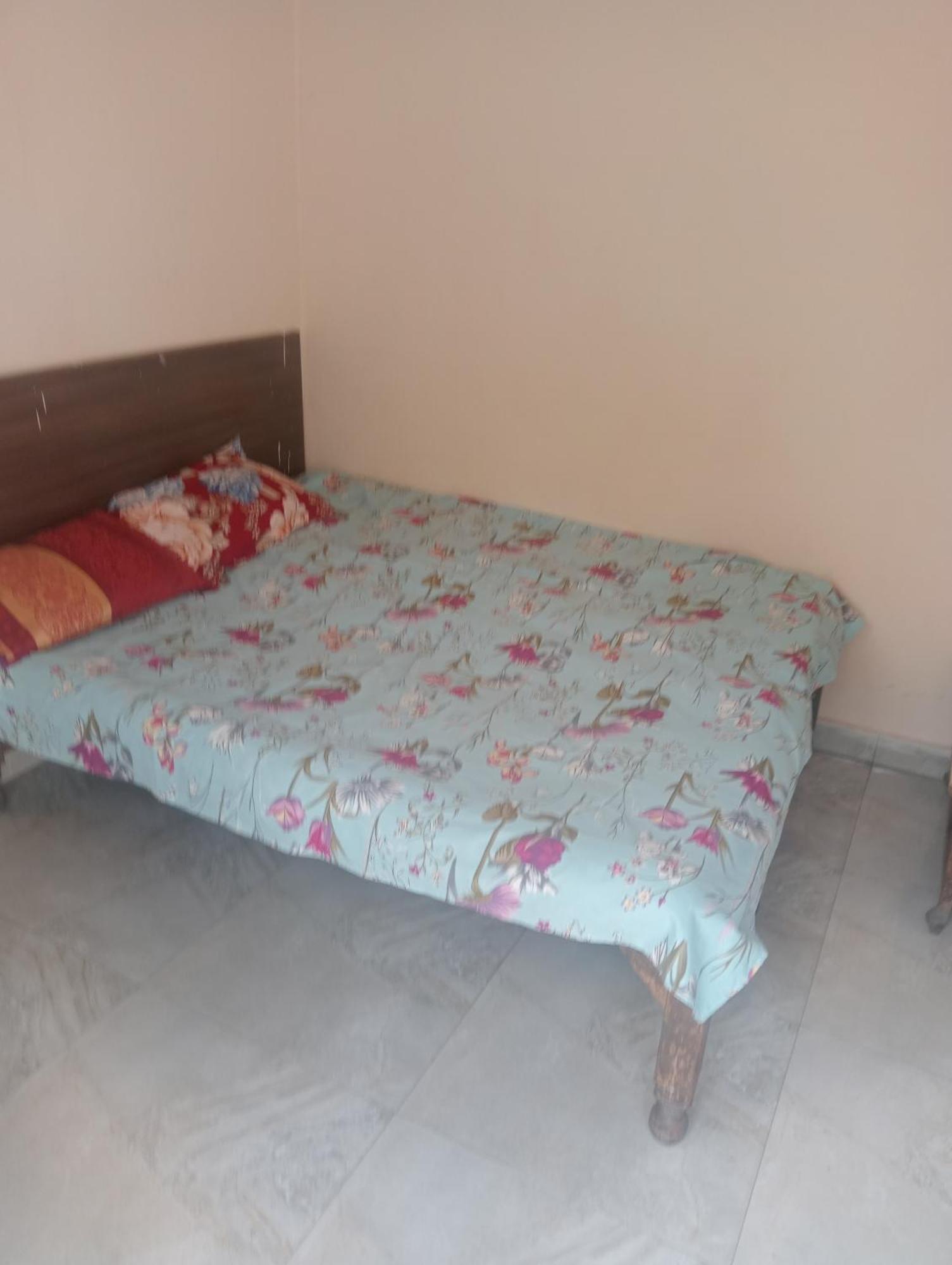 Ever Green Guest House Travel&PG New Delhi Eksteriør bilde